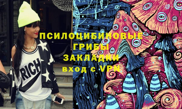 а пвп мука Алзамай