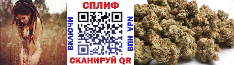 OMG ТОР  Кировград  Бошки Шишки сатива 